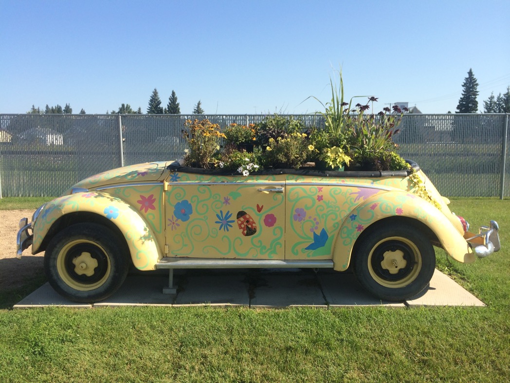 flowers in yellow punch buggy